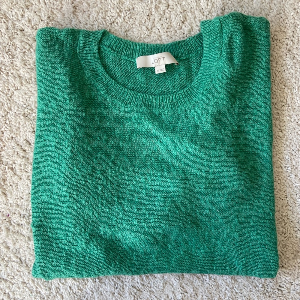 Gorgeous and Vibrant Green Loft Sweater